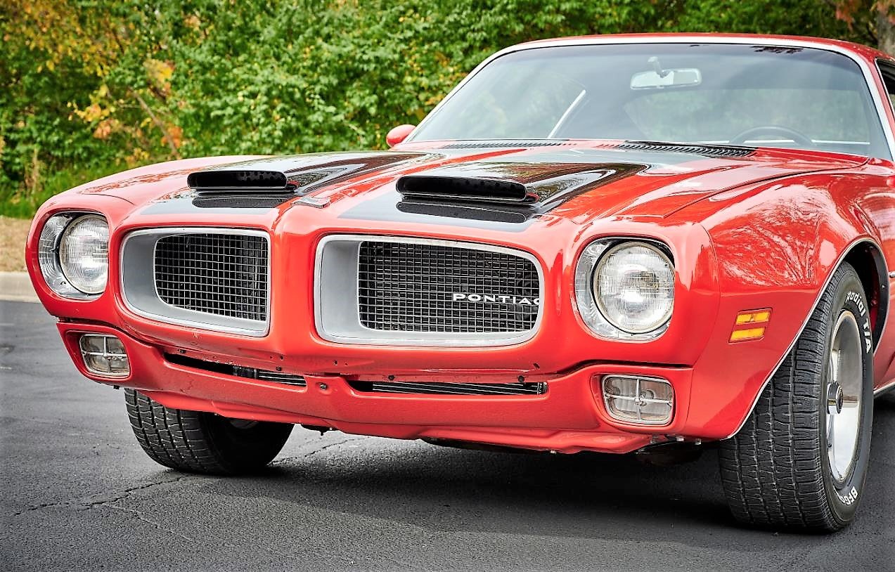 firebird