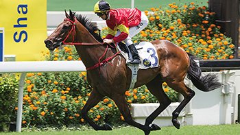 HONG KONG, HONG KONG - June 21 : Jockey Zac Purton riding Winning Brew wins the Race 2 Garnet Handicap (Div I) (Class 4) at Sha Tin Racecourse on June 21, 2020 in Hong Kong. (Photo by Lo Chun Kit /Getty Images)