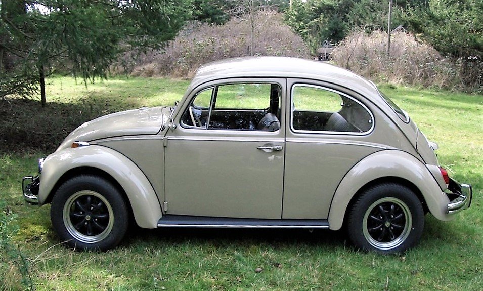 autohuinter