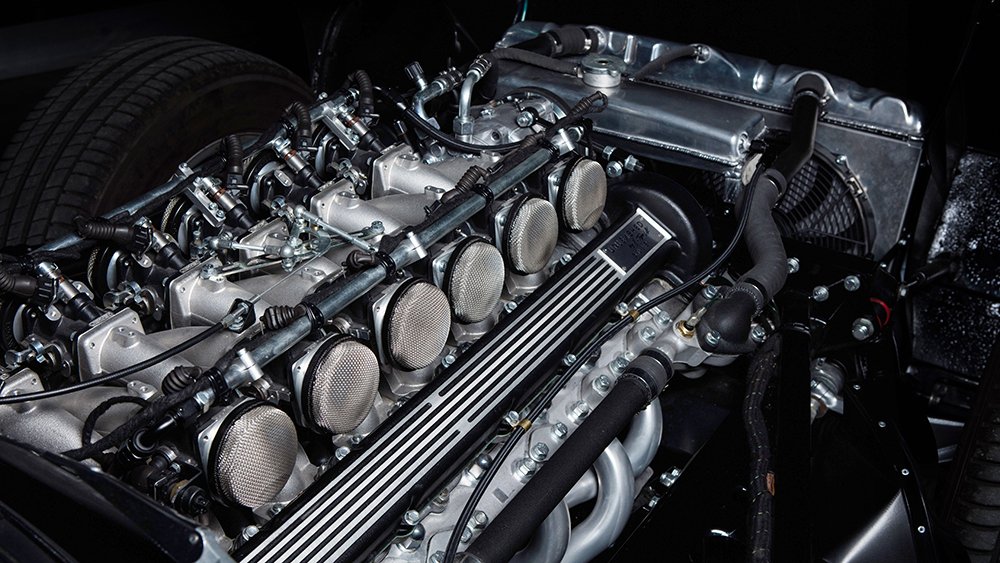 Unleashed E-Type