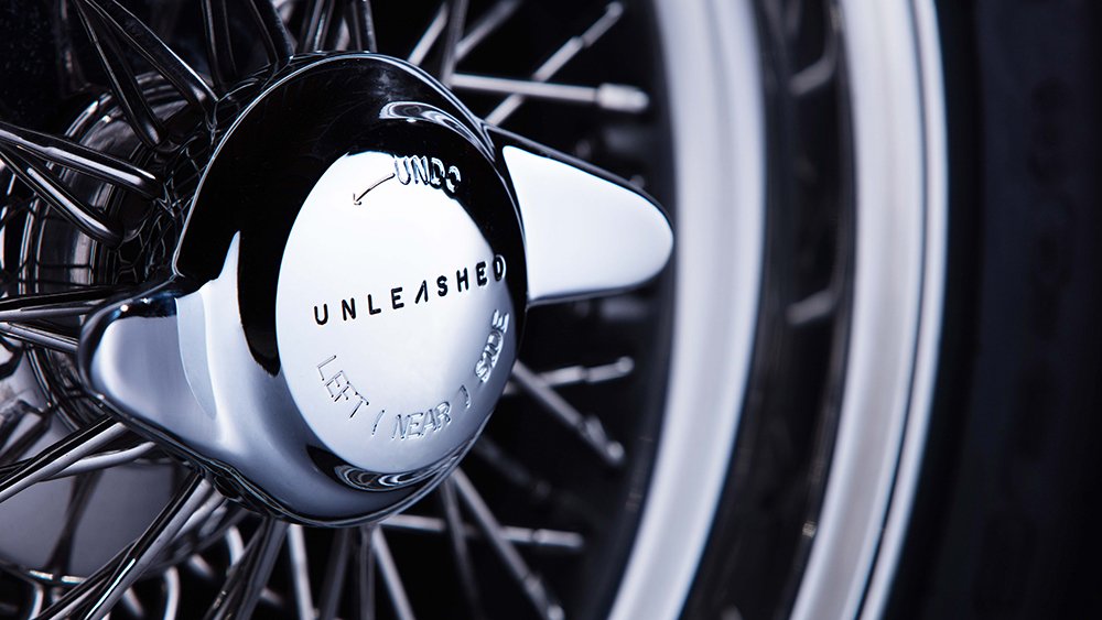 Unleashed E-Type