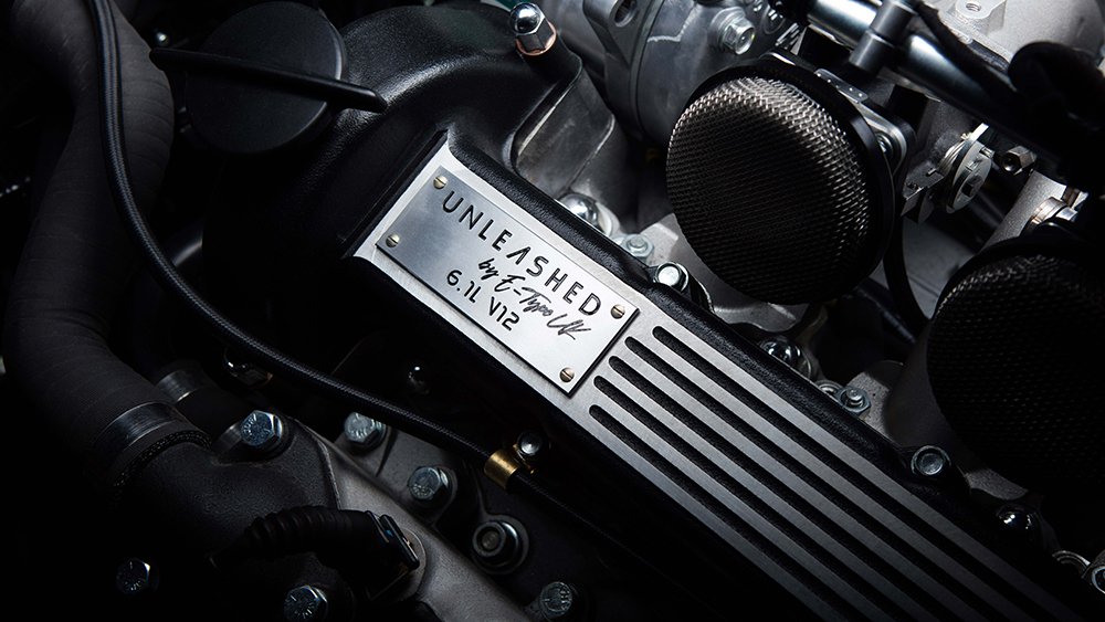 Unleashed E-Type