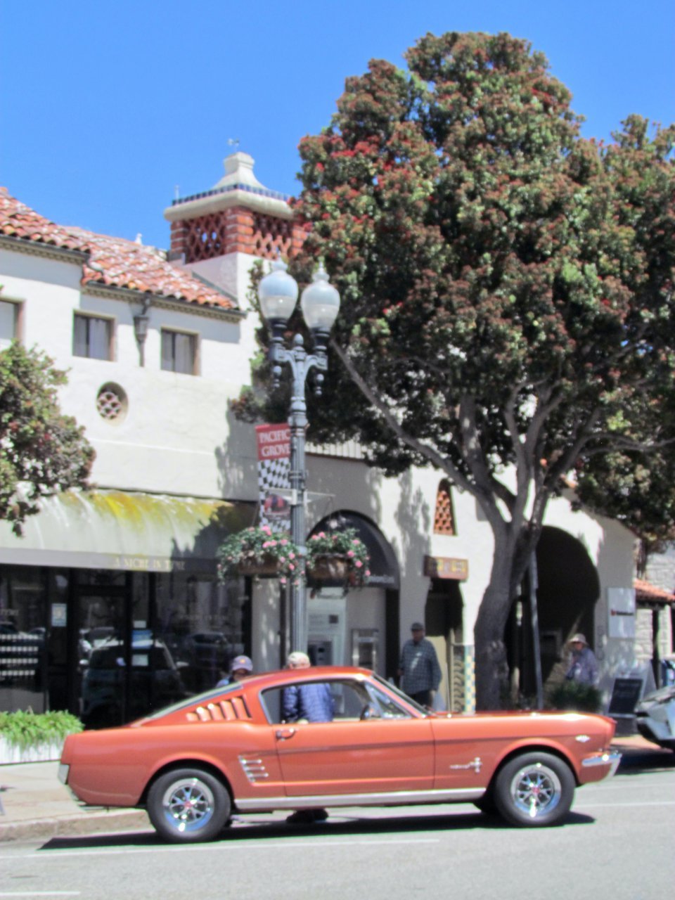 Monterey, What did you do during the pandemic? Paul Molfino restored a ’63 Nova, ClassicCars.com Journal