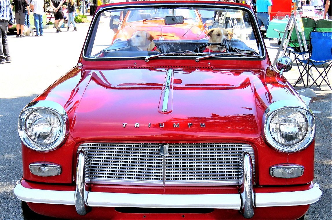 little car