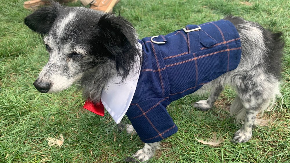 One of the smartly dressed attendees.
