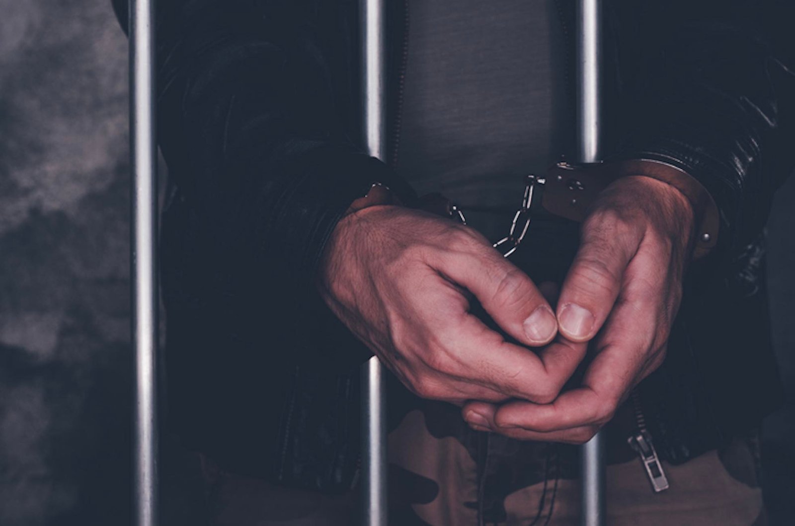 cat killer arrested