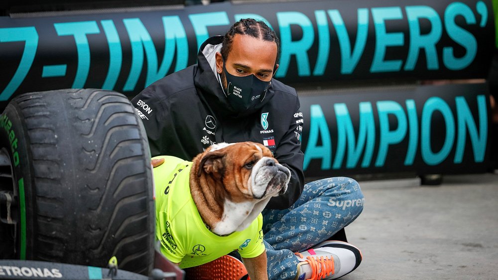 Lewis Hamilton with his dog Roscoe at the 2020 Turkish Grand Prix.