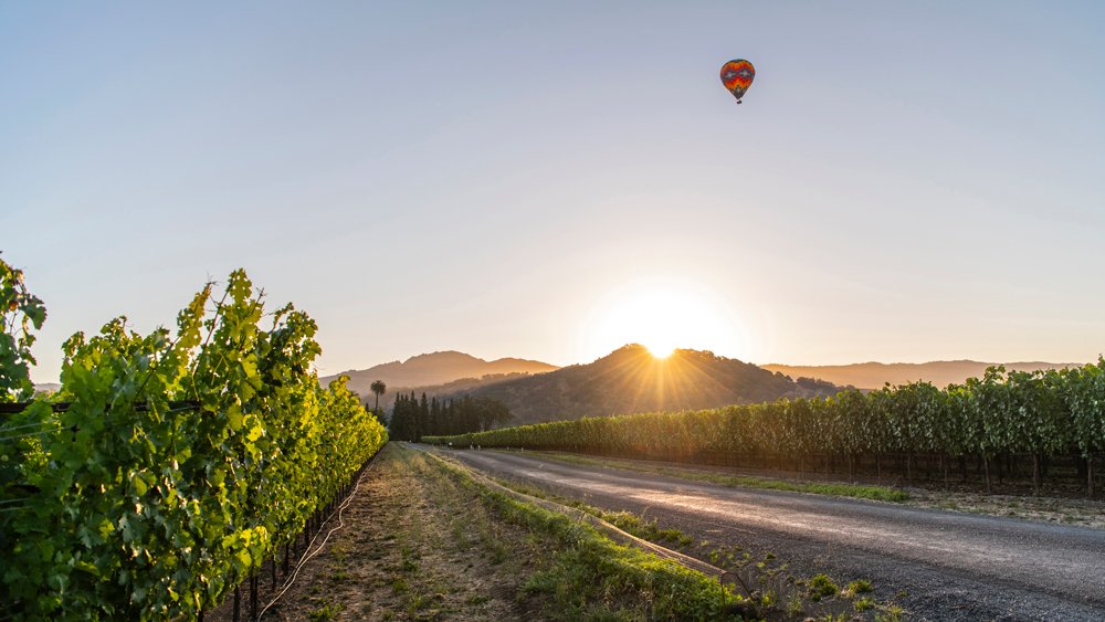 A hot-air ballon ride in Sonoma, Calif.