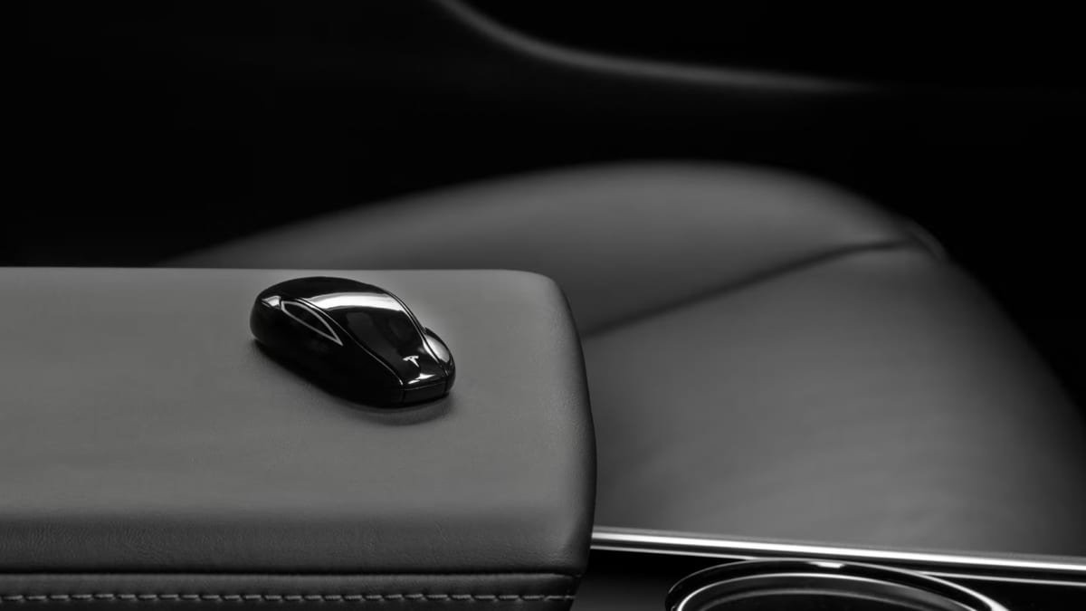 Tesla Model 3 owner gets a chip implanted into his hand to unlock his car-0