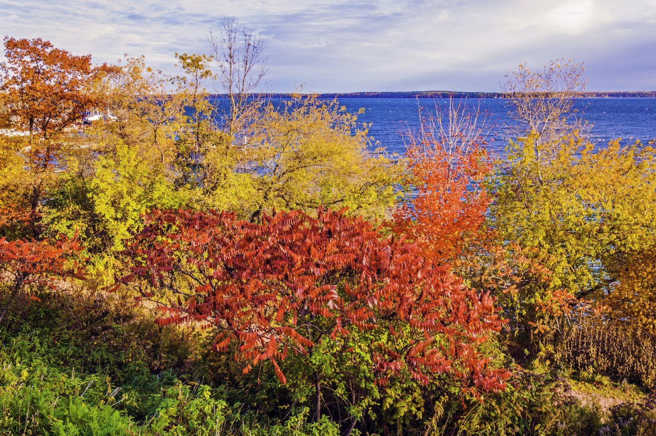 Fall, Our Favorite Roads: Fall Colors, ClassicCars.com Journal
