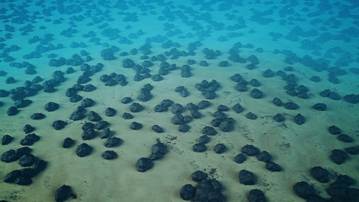 Search for electric-car battery minerals hits bottom of the ocean