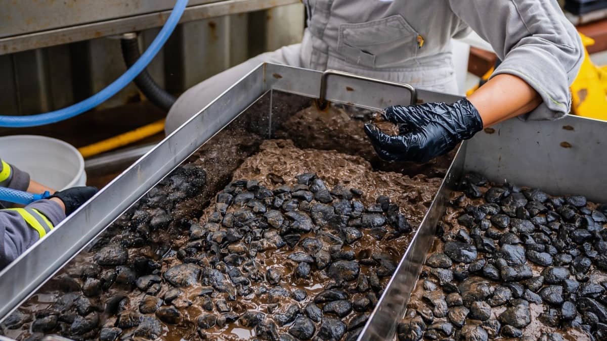Search for electric-car battery minerals hits bottom of the ocean