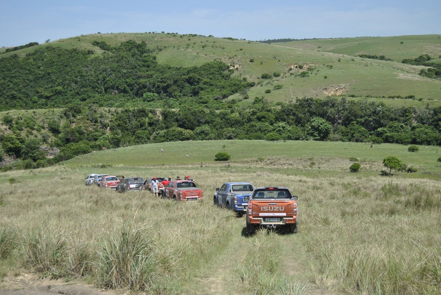 Surrounds of the Transkei bushveld