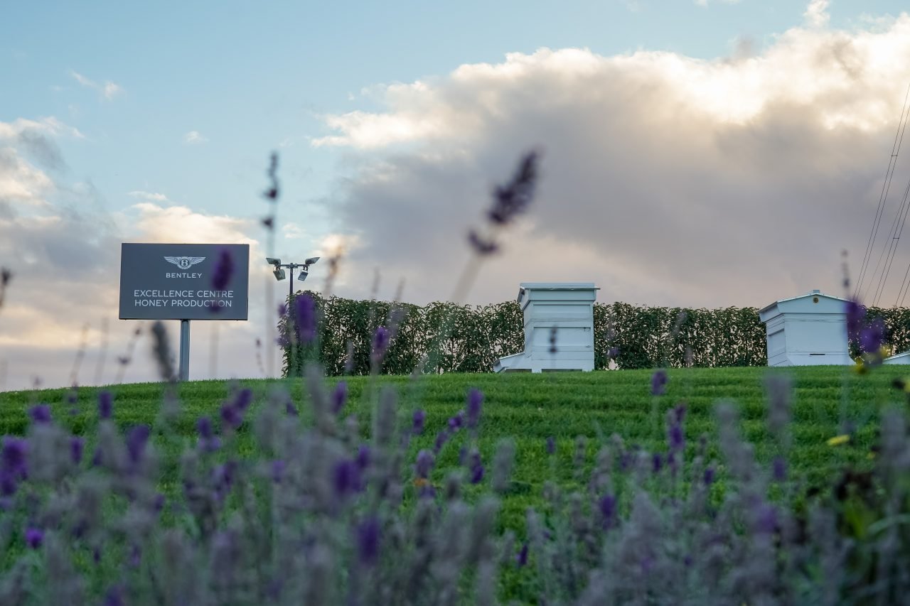 Bentley's Excellence Centre for Honey Production