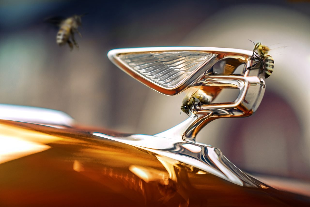 Bentley Honey