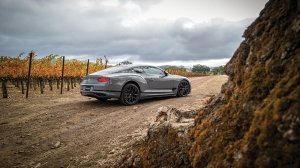 Bentley Continental GT S rear