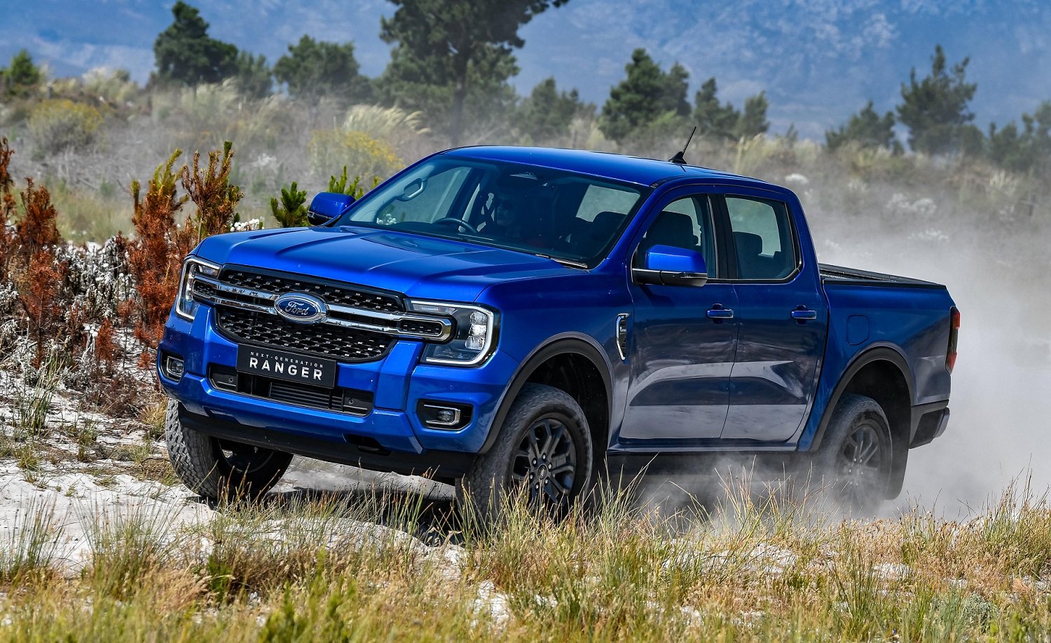 Global best-selling bakkie in January vs South Africa