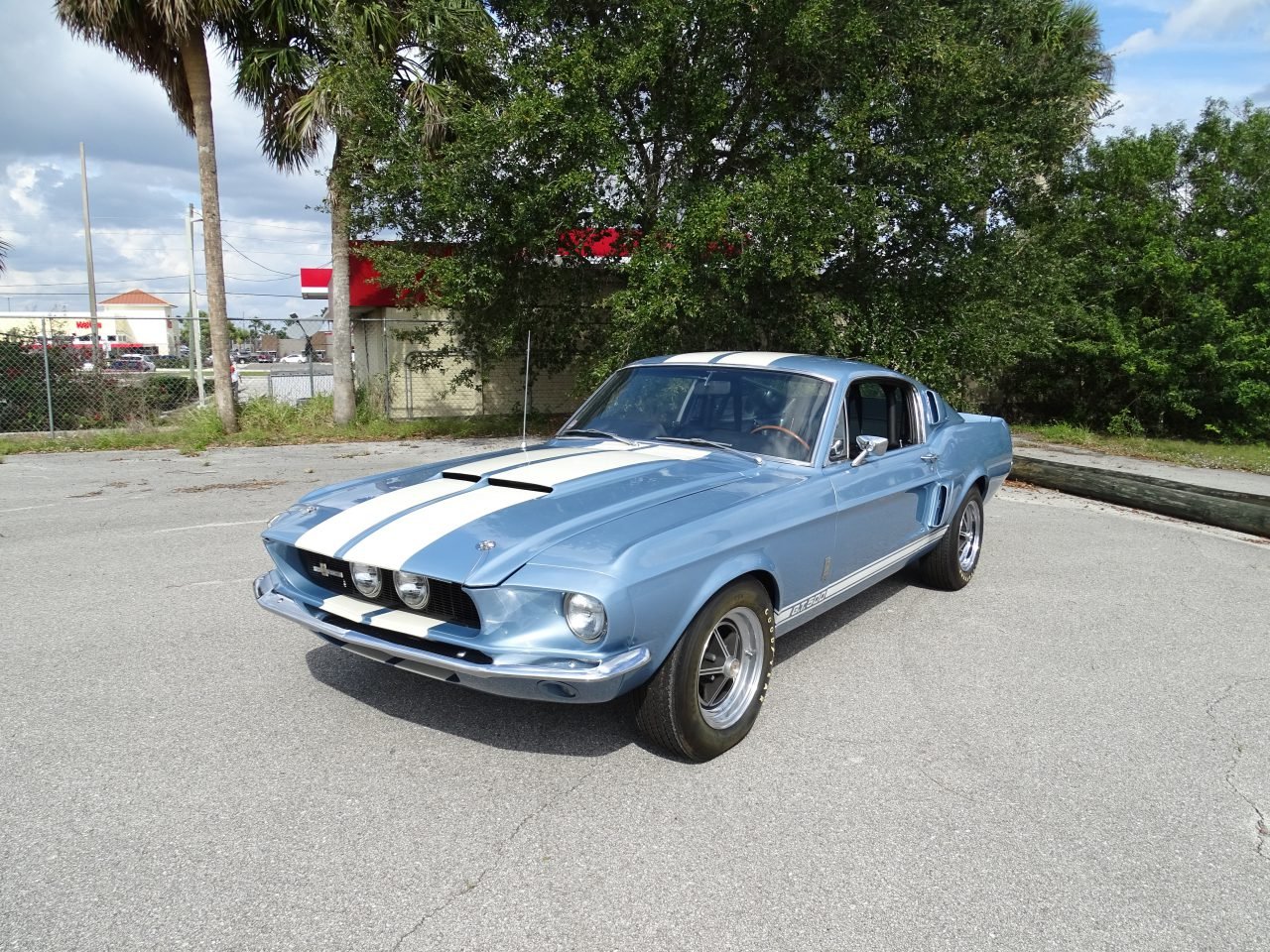 1967 Shelby Mustang GT500