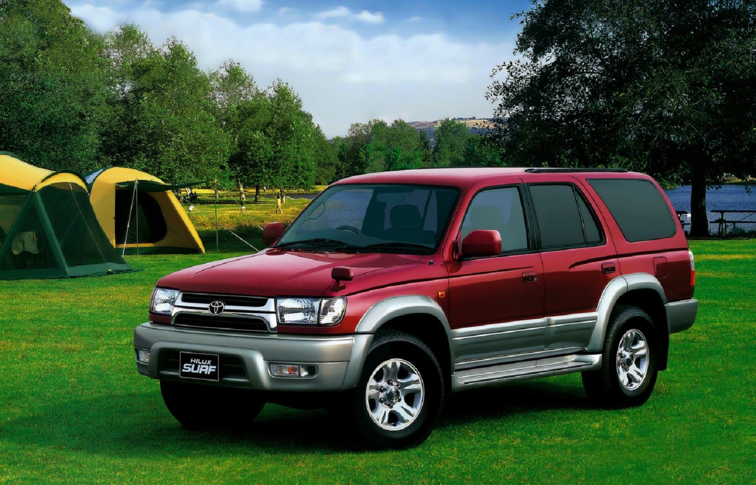 Tougher stance needs to be taken against grey import vehicles in South Africa