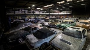 The Palmen Barnfind Collection