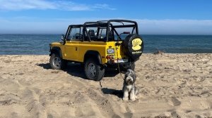 Automotive personality Doug Demuro's Land Rover and dog Noodle at the beach.