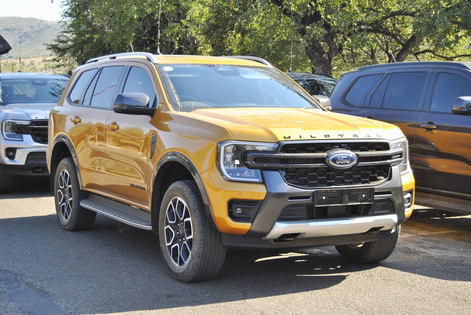 New Ford Everest Wildtrak price