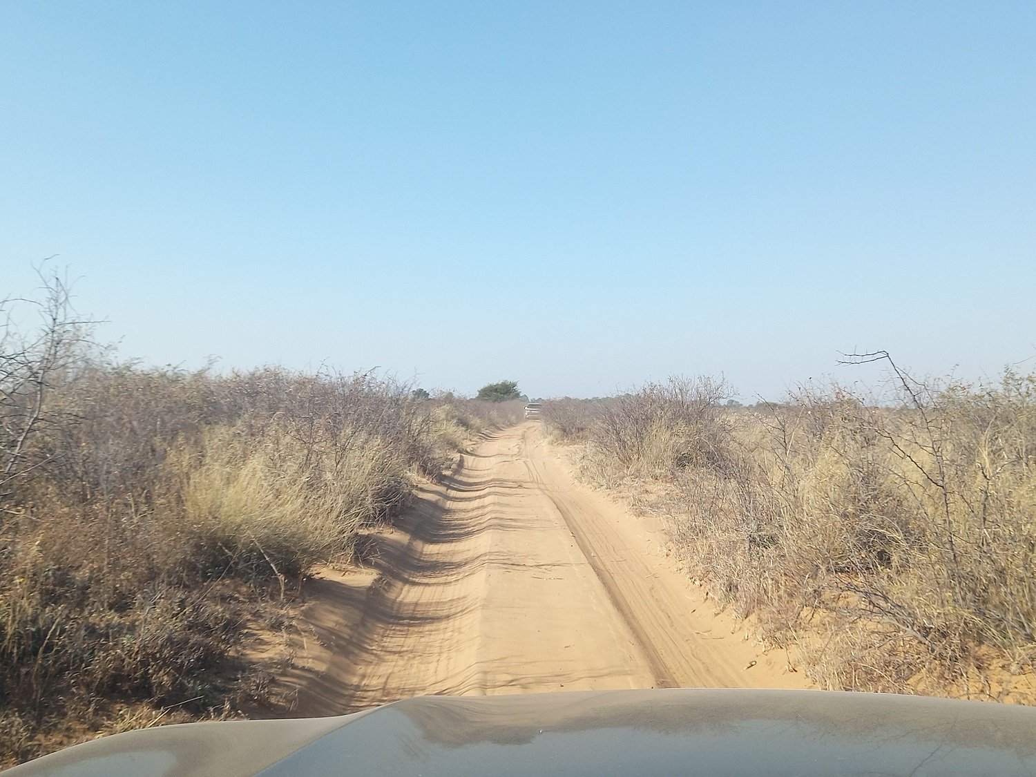 Getting ready for the Toyota 1000 Desert Race