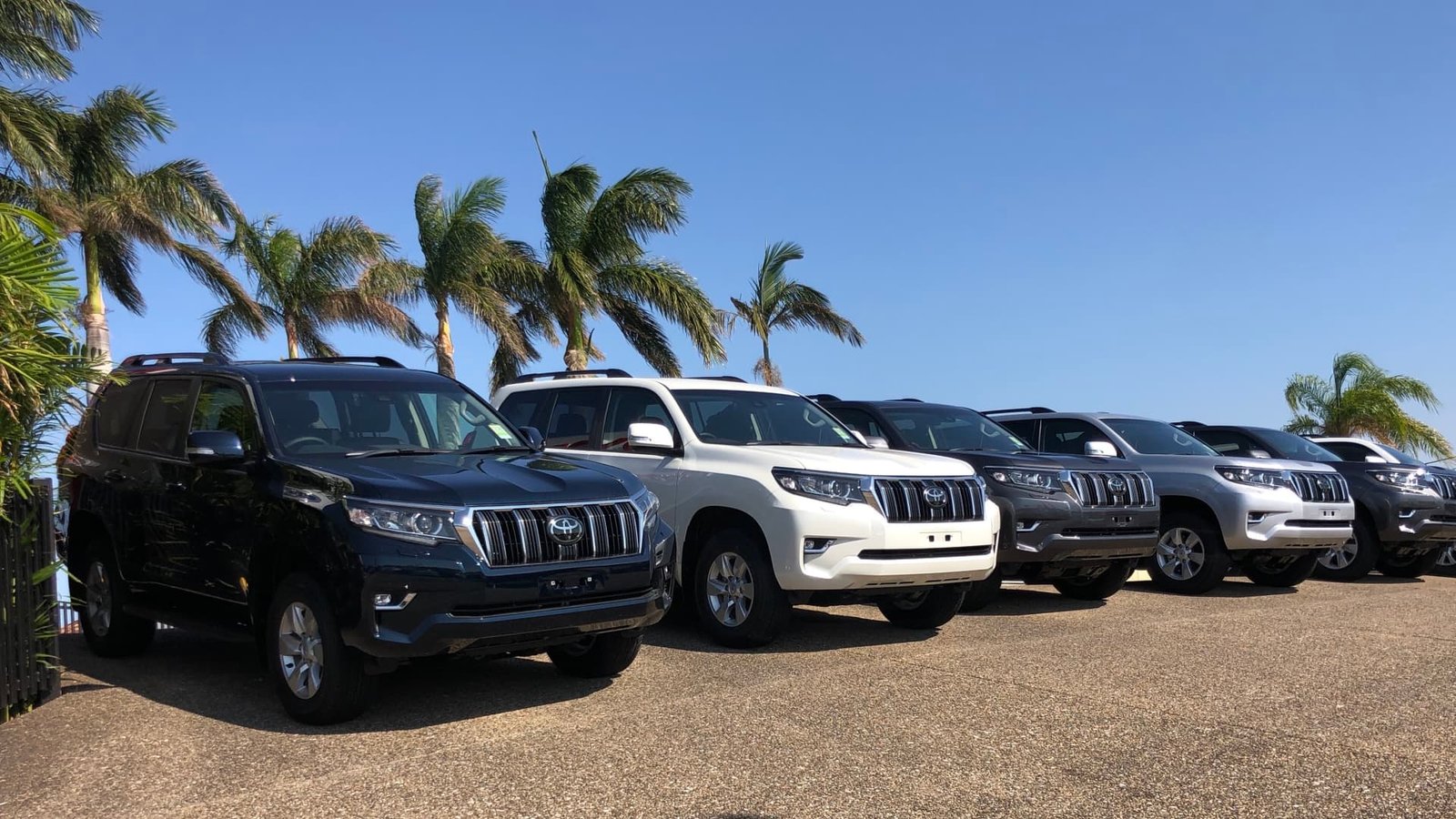 Revealed: The real reason Toyota has been slow to introduce electric cars