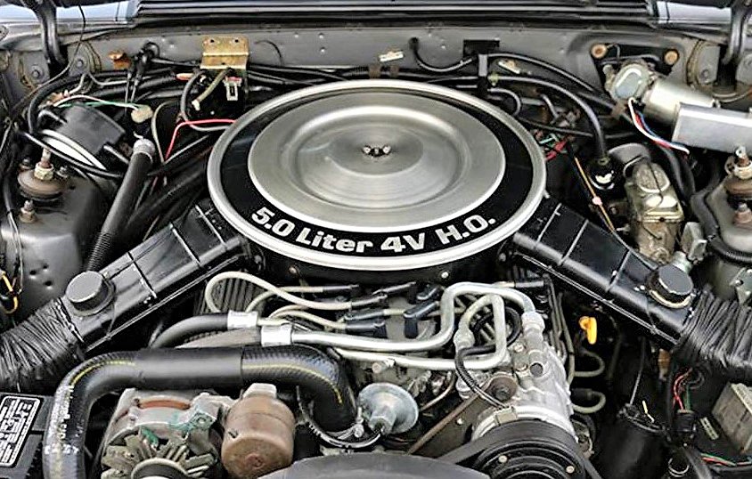 mustang