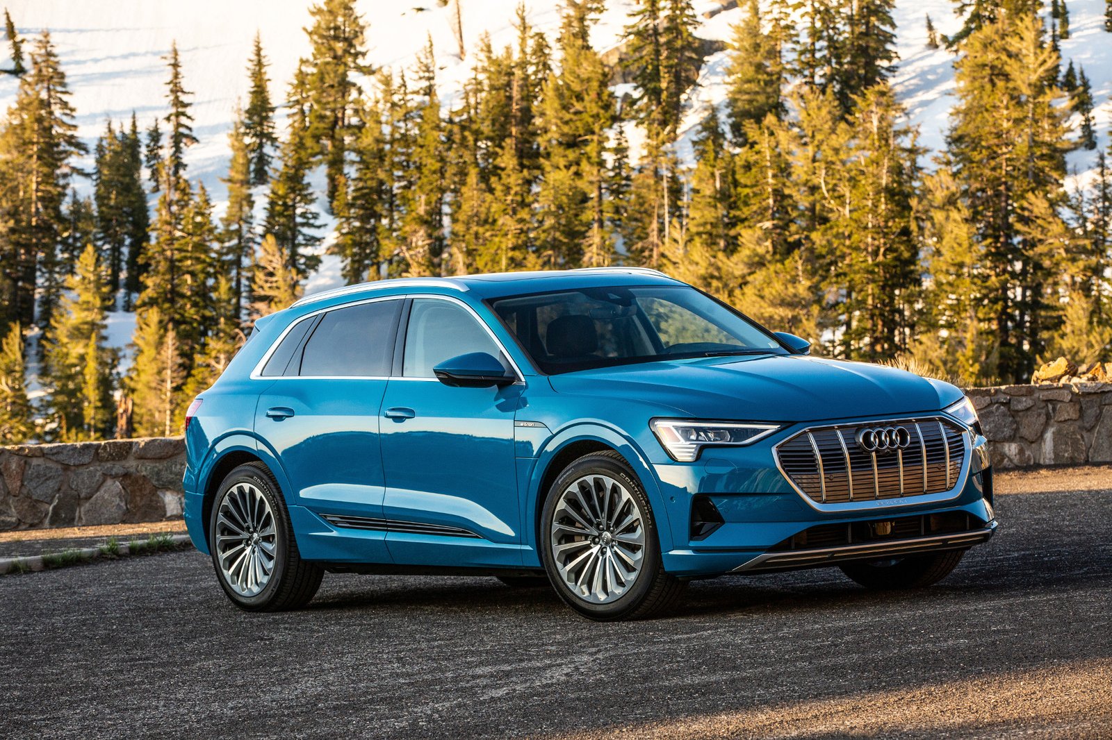 01-audi-e-tron-2019-angle--blue--exterior--front--trees.jpg