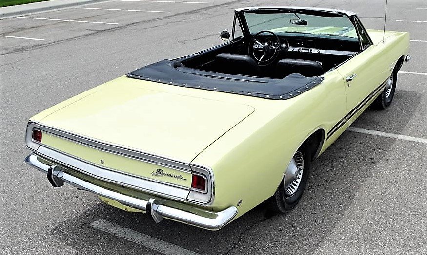 barracuda