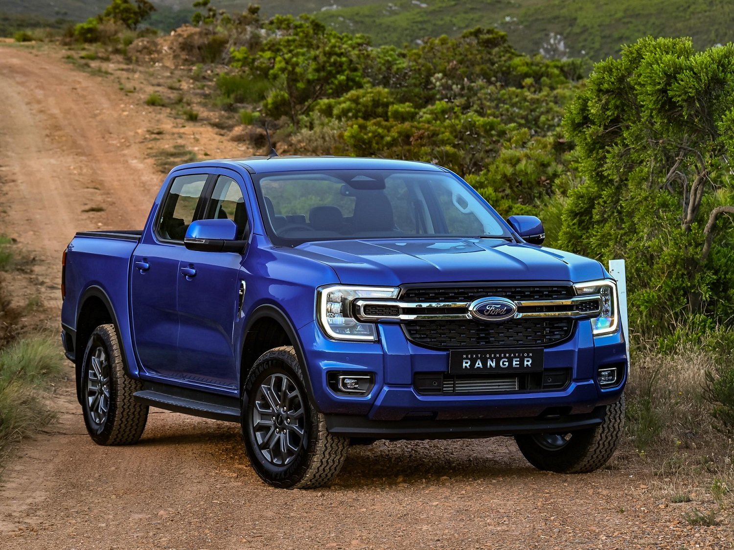 Bakkie dominate February new vehicle sales