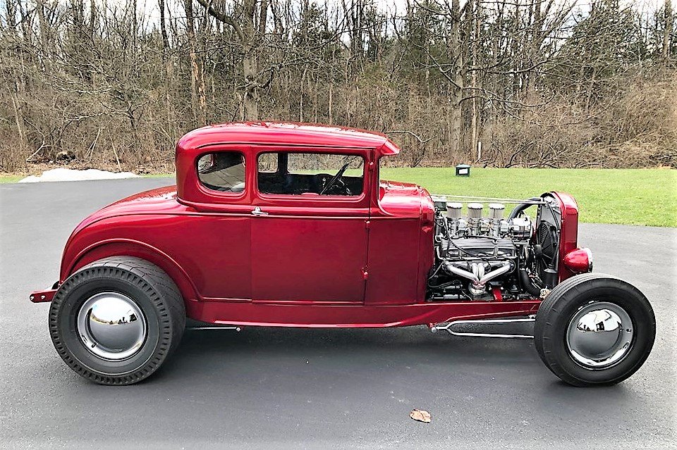 muscle