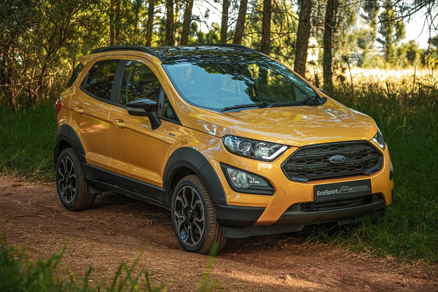 Ford EcoSport plant set to close this week