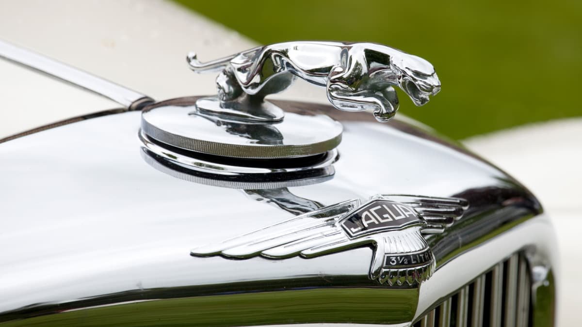 Jaguar will survive despite production changes in the UK – executive