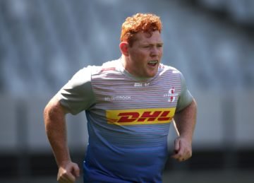 Stormers prop Steven Kitshoff