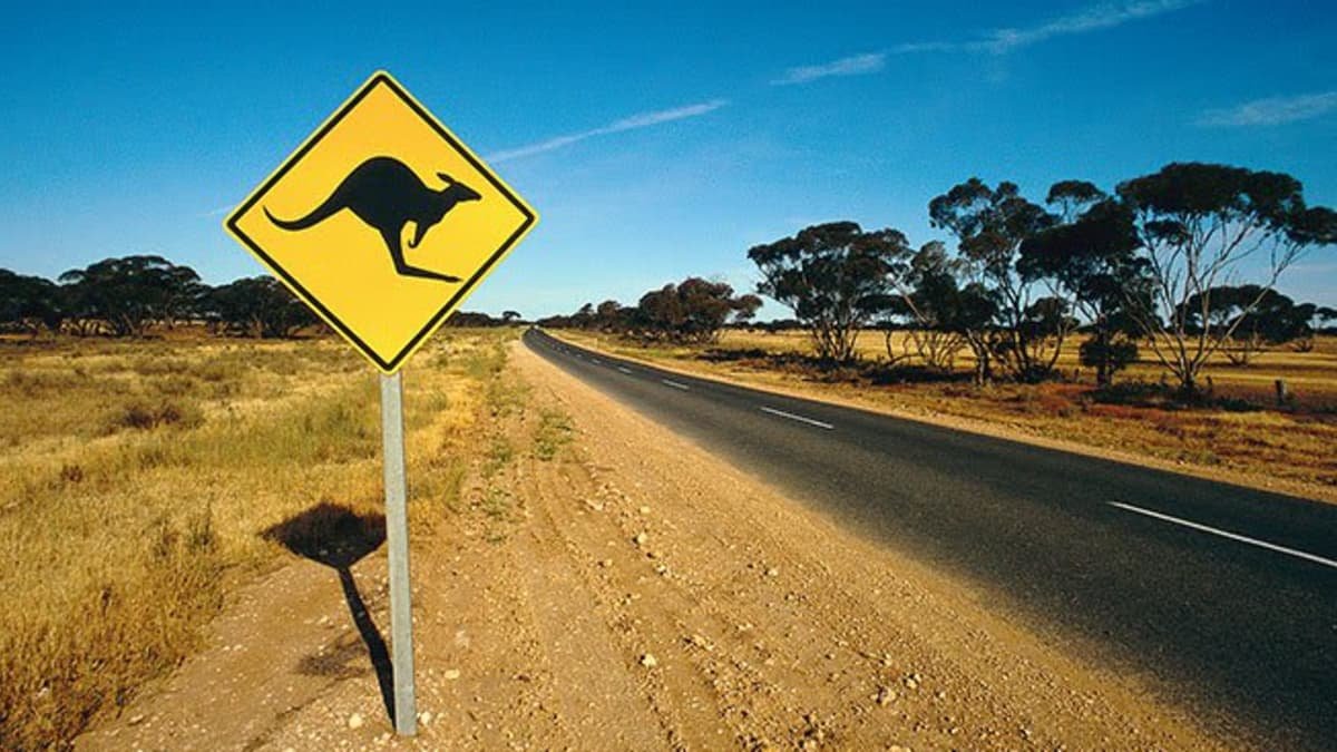 NSW Government pledges $5000 to help novice drivers in regional areas buy safer cars