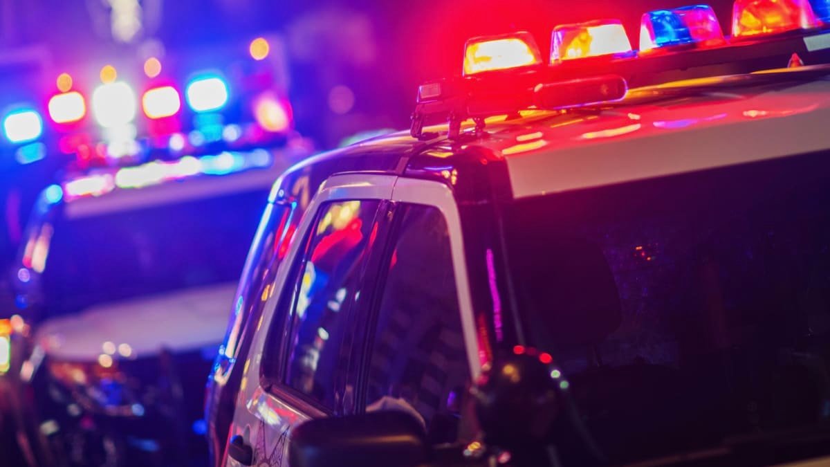 Police forced to pay for car tracking app to find abducted toddler – report