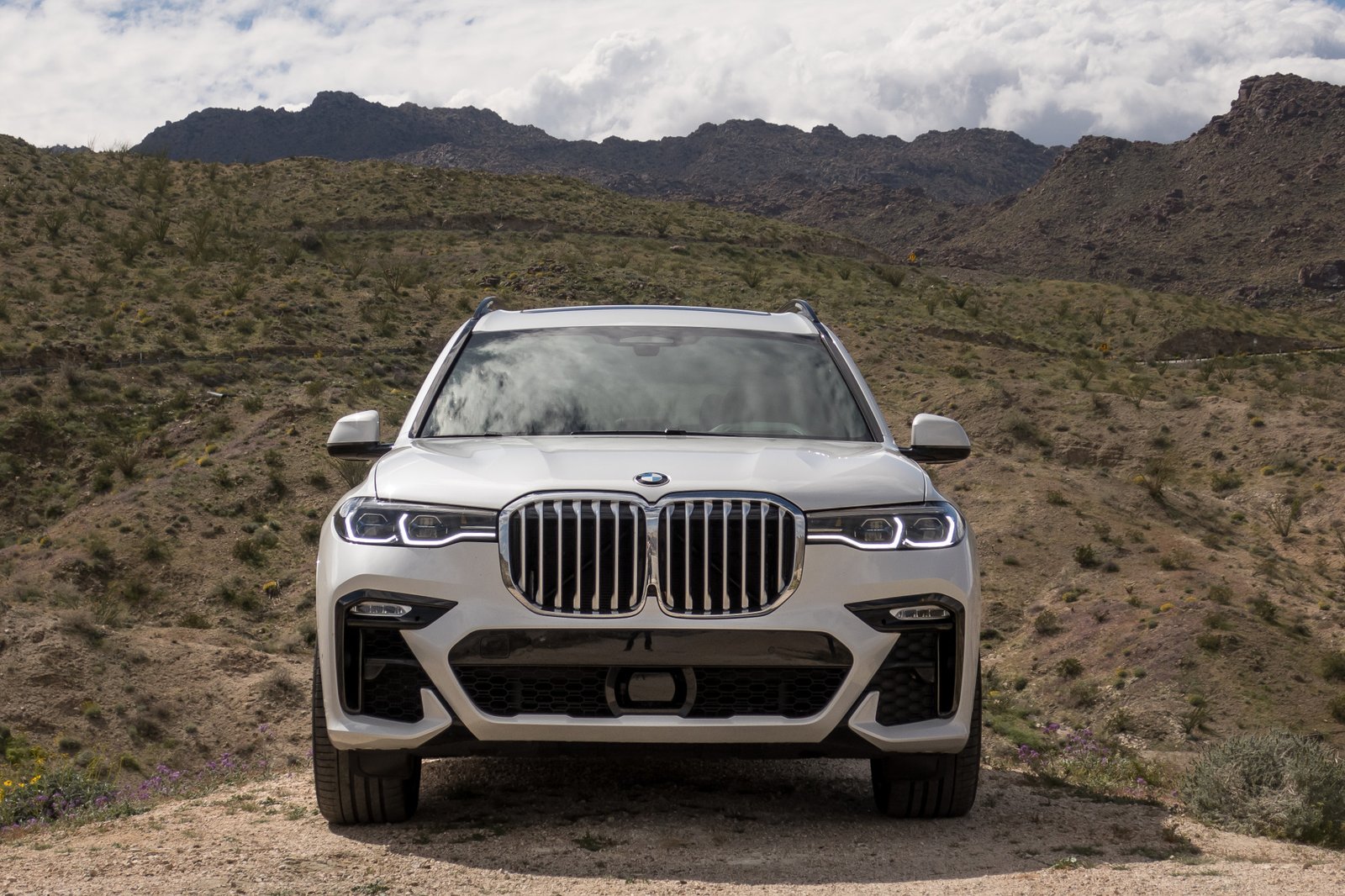 03-bmw-x7-2019-exterior--front--white.jpg